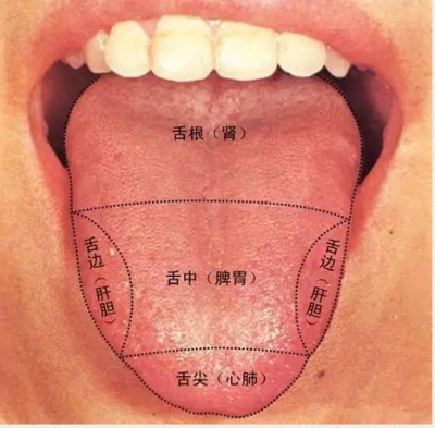 望舌辨体质