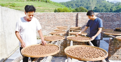 闽西日报：永定“福山居庐”万应茶厂——在传承中坚守 在坚守中前行