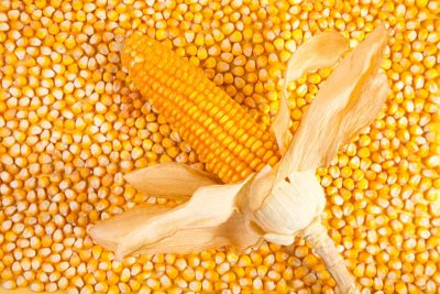 玉米：抗癌防衰的食品