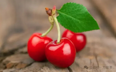 女人逆龄美食简述